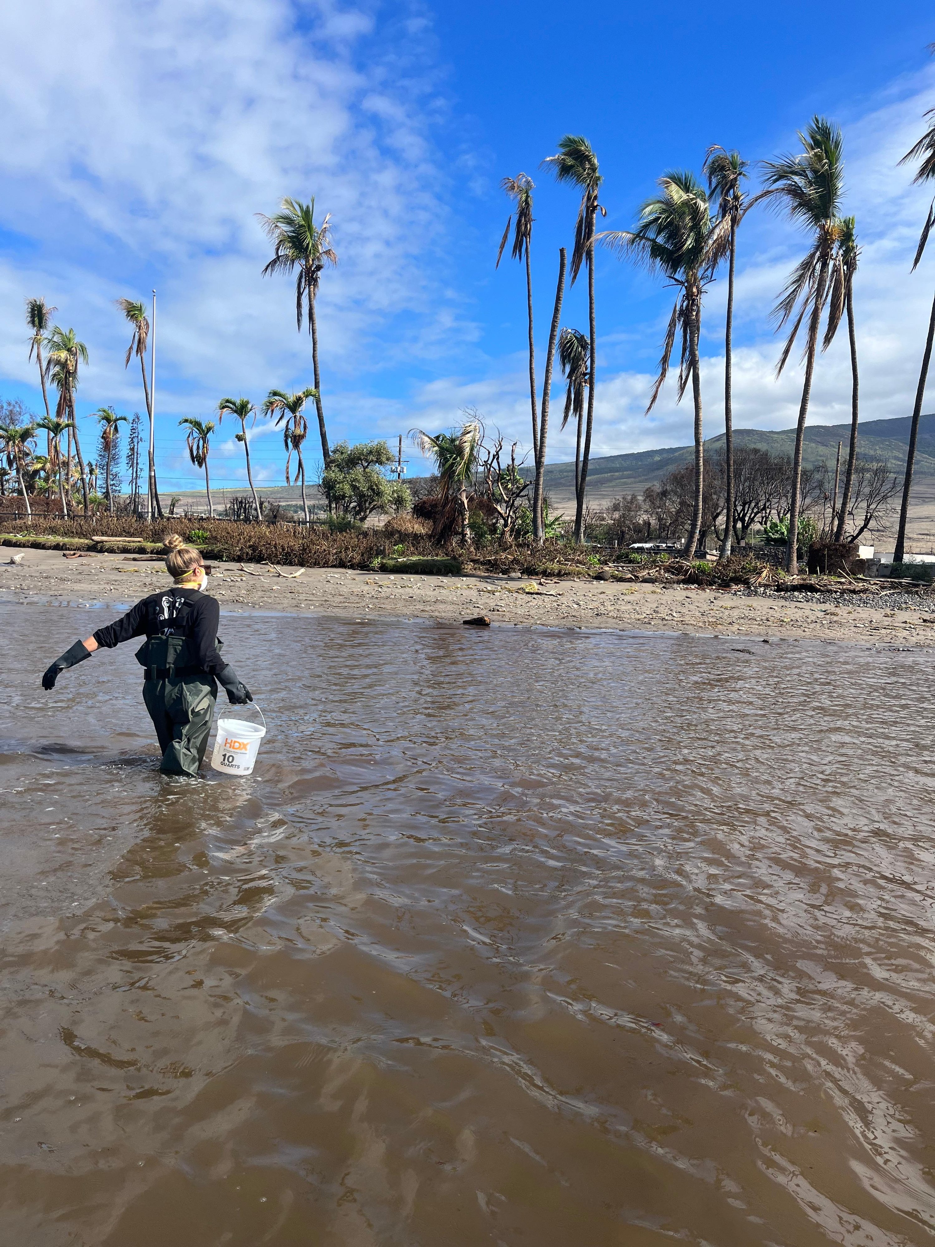 Lāhainā Water Quality